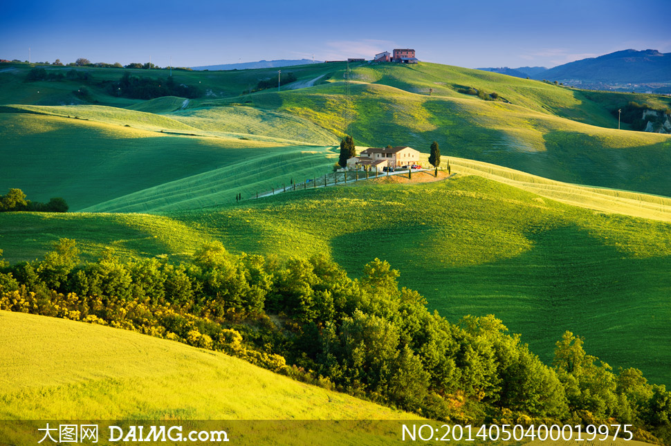 绿色农场好不好-韩国 绿色农场 是一个化妆品牌