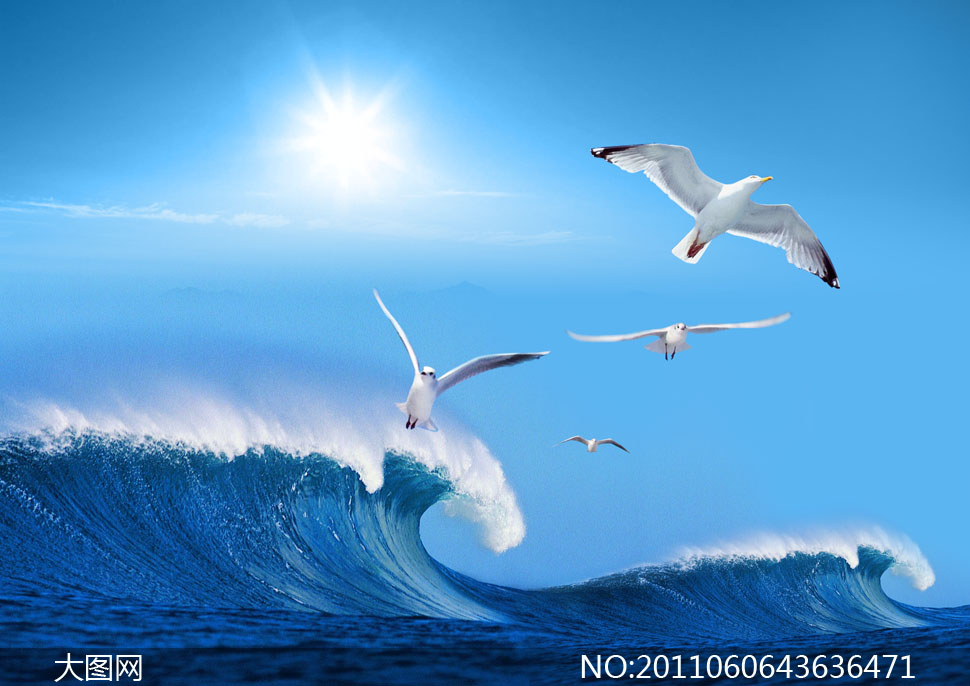 飞翔海鸥与碧蓝大海浪花psd分层素材