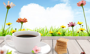 ľ�����ڿ��ȱ��ӱ����������ƶ�PSD�ֲ��ز�