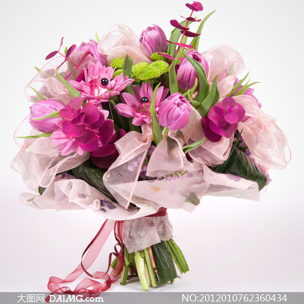 鲜艳花朵包装高清摄影图片 - 大图网设计素材下