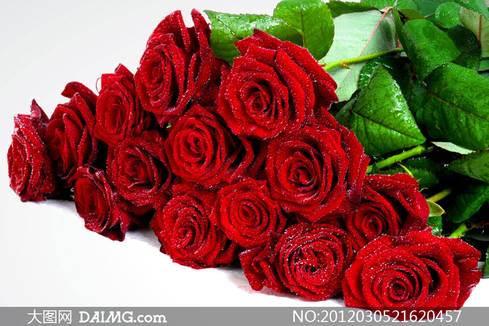 堆码整齐的红玫瑰花朵高清摄影图片 - 大图网设计素材下载