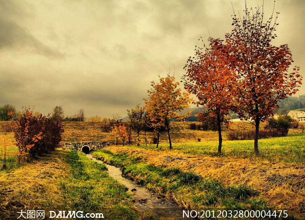 秋季野外美景摄影图片 - 大图网设计素材下载