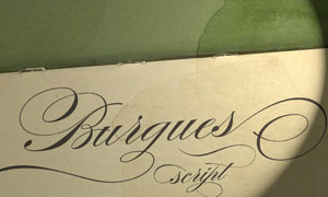Burgues Script(Ӣ)