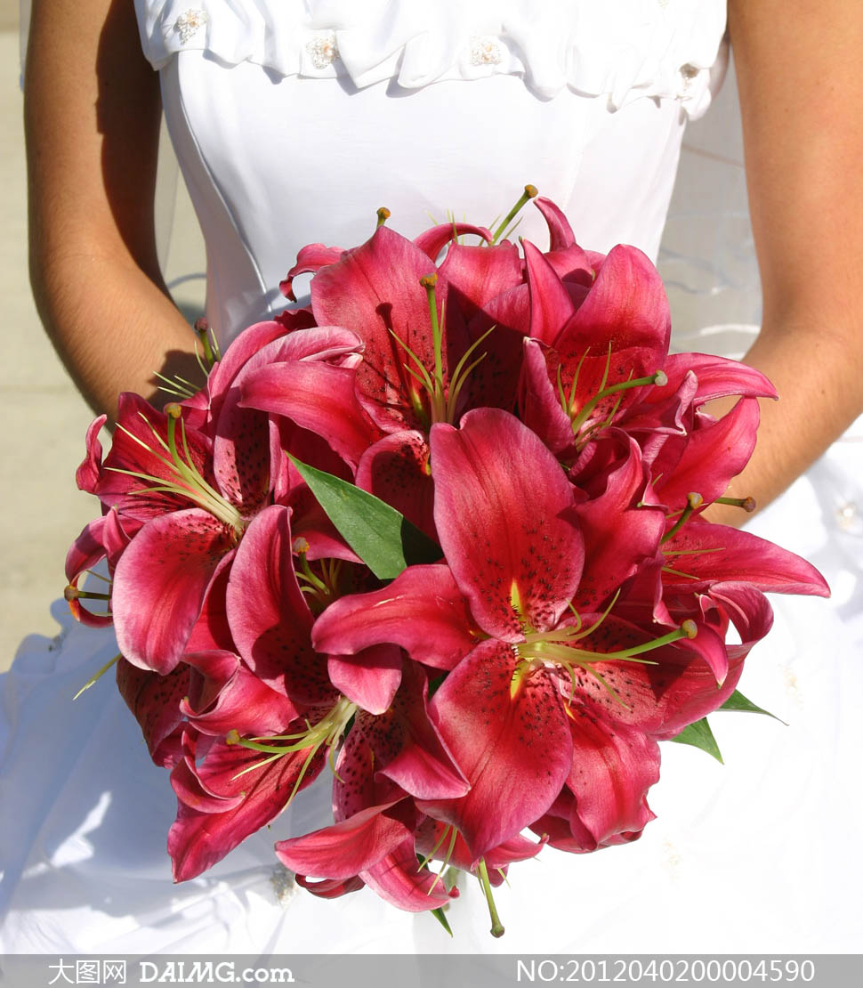 新娘手拿百合花花束摄影图片 - 大图网设计素材