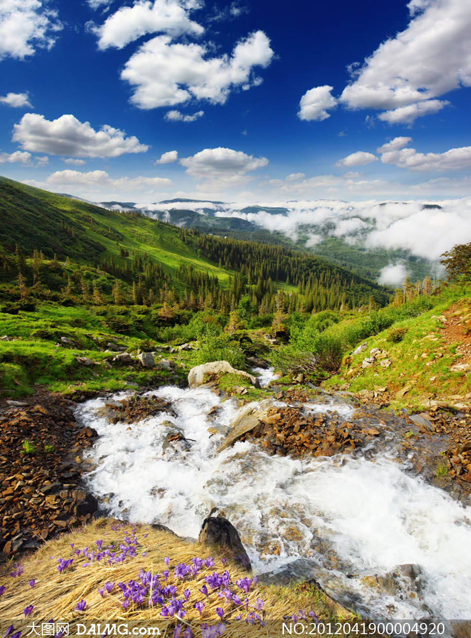 绿色山脉和小溪流水摄影图片
