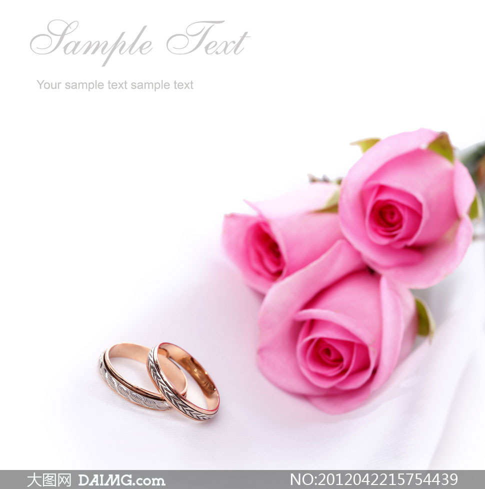 粉红色玫瑰与结婚戒指高清摄影图片-+大图网设