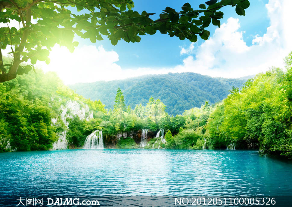 夏季湖边绿色美景摄影图片