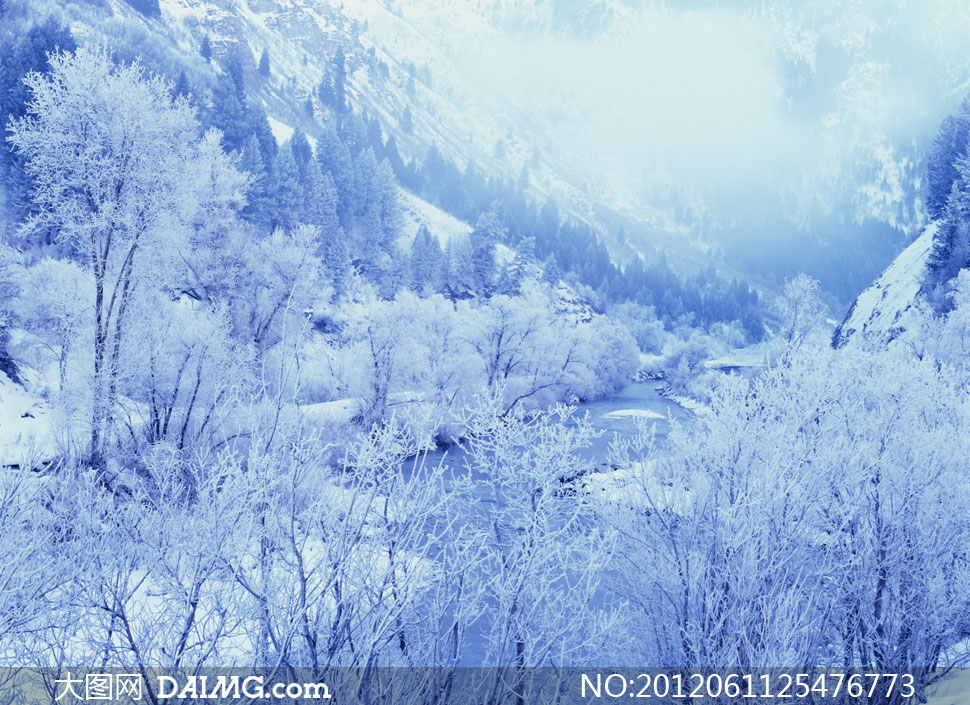 冬天冰雪覆盖的山谷树林高清图片-+大图网设计