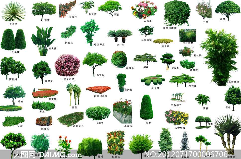 绿色园林树木和景观植物psd分层素材
