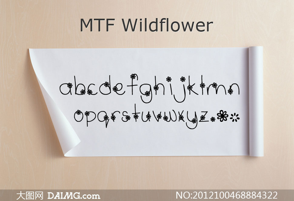 MTF Wildflower(װ)