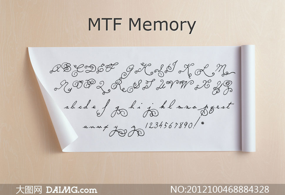 MTF Memory(Ӣд)