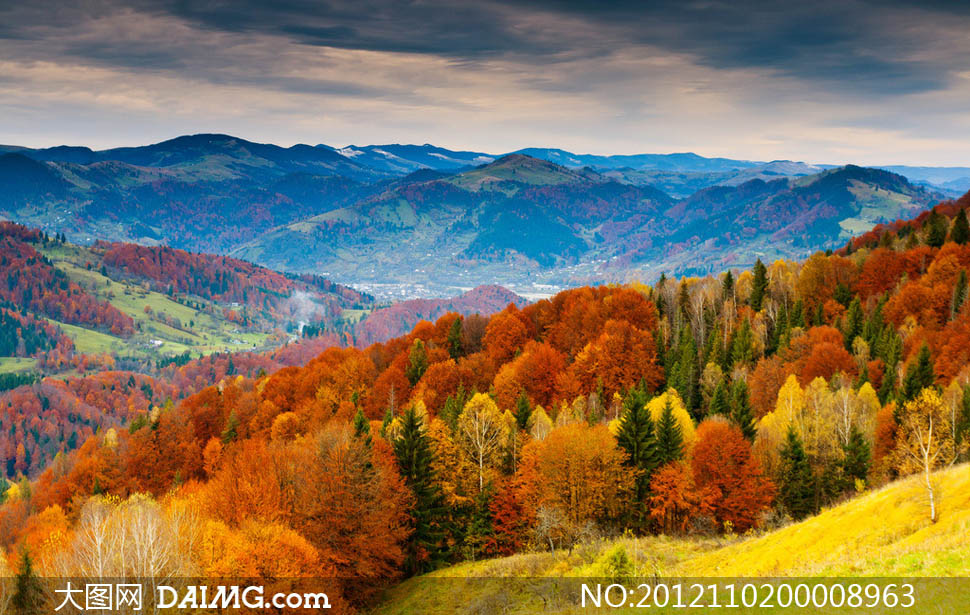 山坡秋季唯美风景摄影图片