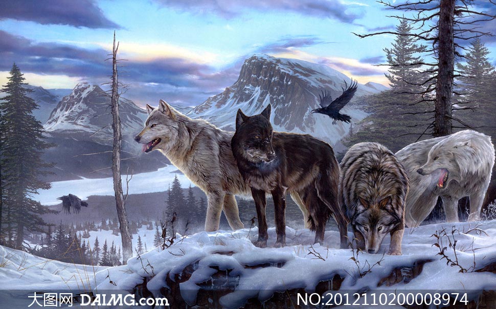 雪山中的狼群设计图片 - 大图网设计素材下载