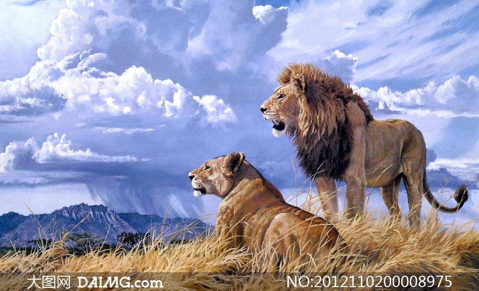 草原上的雄狮油画设计图片
