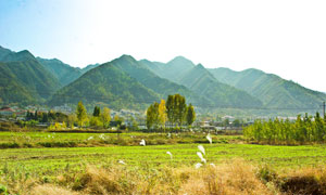 秋季農(nóng)村田園風(fēng)光攝影圖片