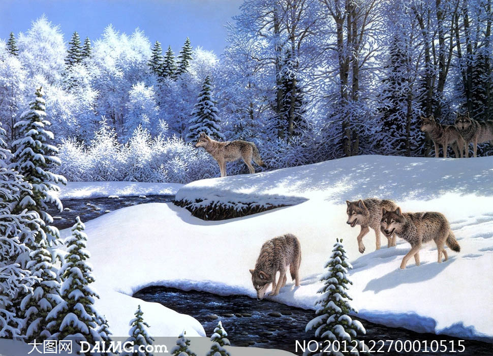 冬季雪地中的狼群设计图片 - 大图网设计素材下