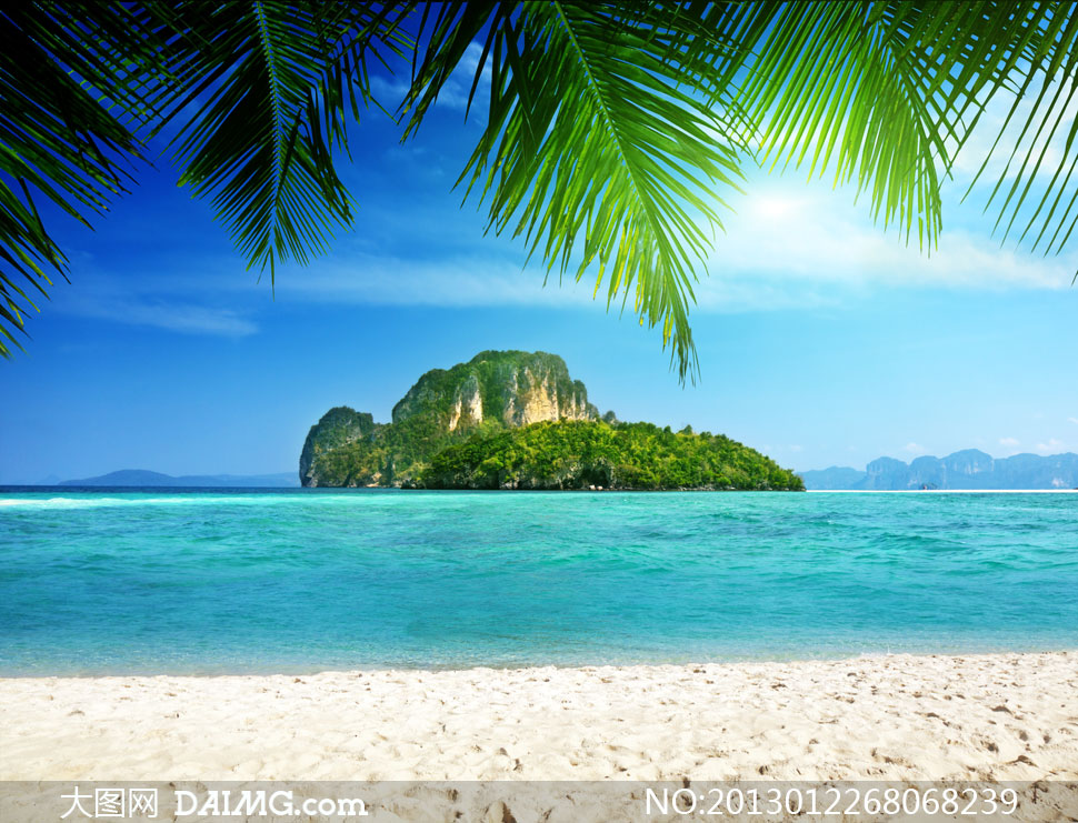 椰树岛屿海水自然风景摄影高清图片