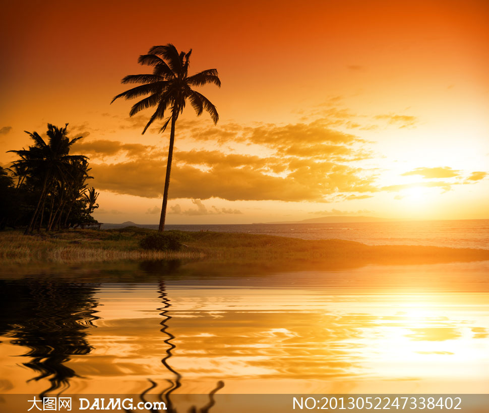 黄昏时分海滩椰树风光摄影高清图片         太阳光椰树与海浪风景