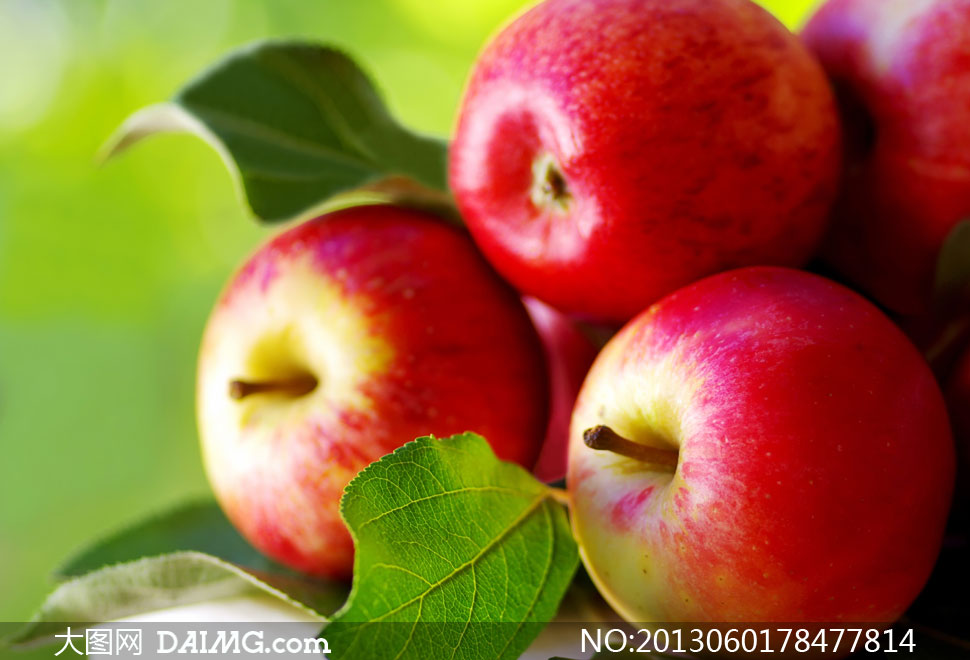 新鲜的红苹果近景特写摄影高清图片 - 大图网设
