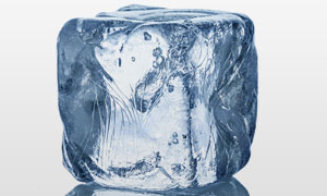 物种起源冰块图片图片