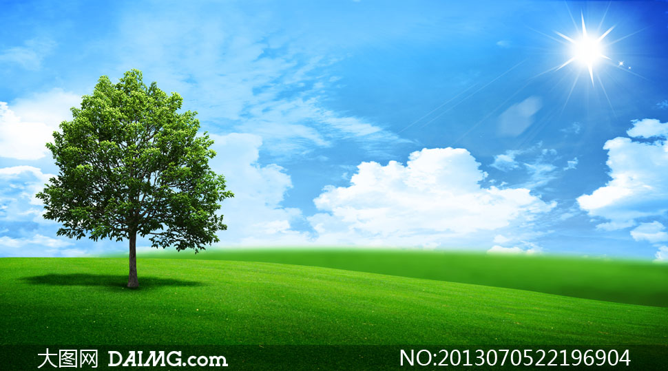 蓝天白云与草地上的树创意摄影高清图片