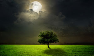 云后的月亮与草地大树摄影高清图片