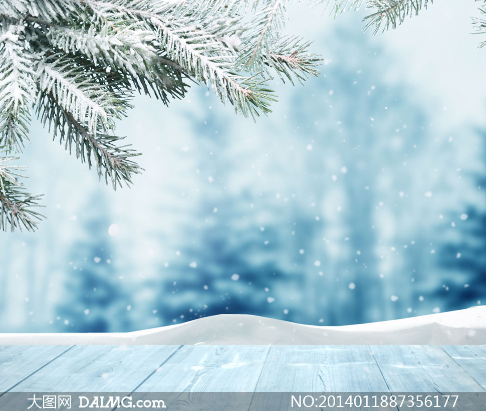 积雪松树枝与唯美雪景摄影高清图片-+大图网设
