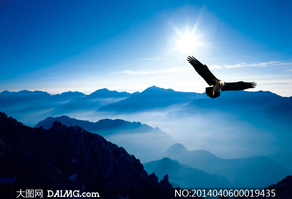 在山顶飞翔的雄鹰摄影图片