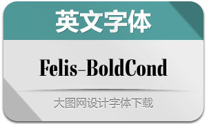 Felis-BoldCond(Ӣ)