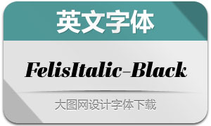 FelisItalic-Black(Ӣ)