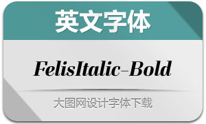 FelisItalic-Bold(Ӣ)