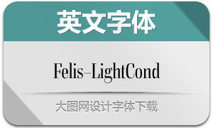 Felis-LightCond(Ӣ)