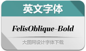 FelisOblique-Bold(Ӣ)
