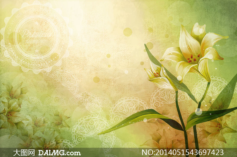 花纹背景与百合花植物PSD分层素材 - 大图网设