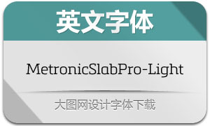 Metronic SlabPro-Light(Ӣ)