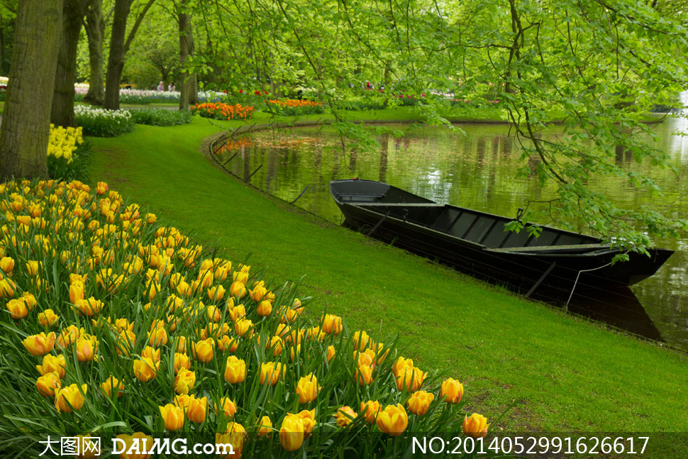 花丛与湖边停着小木船摄影高清图片