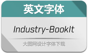 Industry-BookItalic(Ӣ)