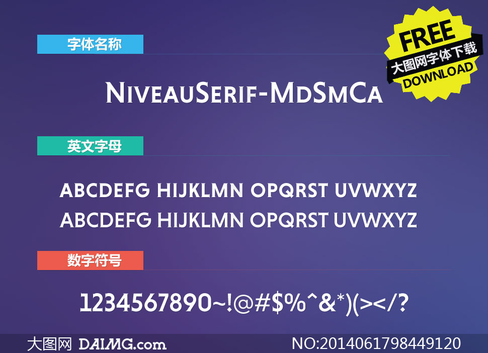 NiveauSerif-MdSmCa(Ӣ)