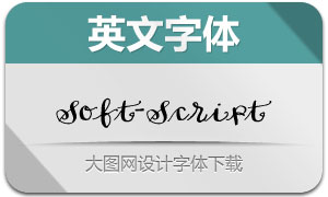 Soft-Script(Ӣ)
