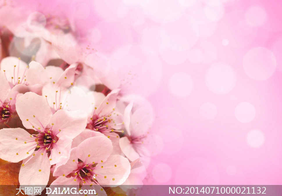 梦幻壁纸唯美意境图片粉色