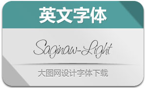 Saginaw-Light(Ӣ)