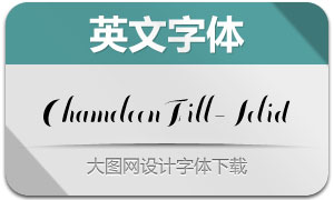 ChameleonFill-Solid(Ӣ)