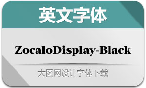 ZocaloDisplay-Black(Ӣ)