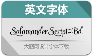 SalamanderScript-Bd(Ӣ)