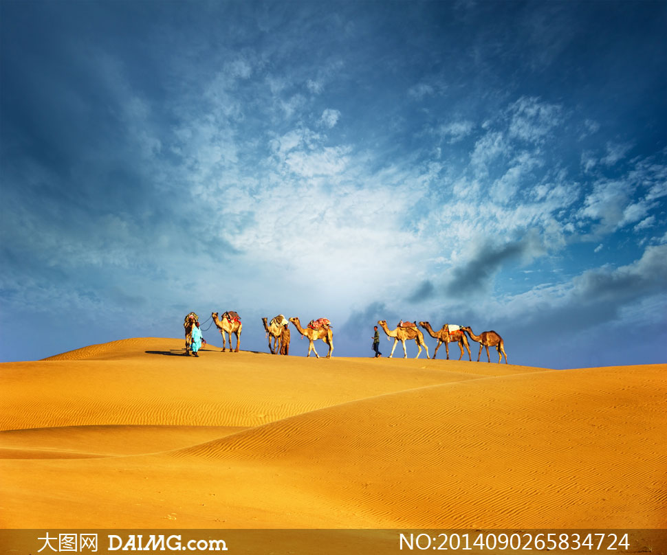 蓝天白云沙漠骆驼商队摄影高清图片 - 大图网设
