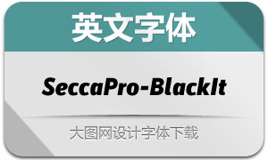 SeccaPro-BlackItalic(Ӣ)