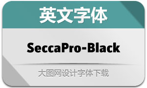 SeccaPro-Black(Ӣ)
