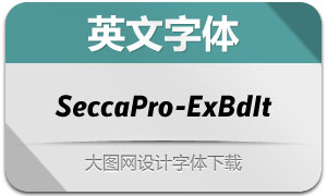 SeccaPro-ExtraBoldIt(Ӣ)