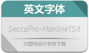 SeccaPro-Hairline15It(Ӣ)