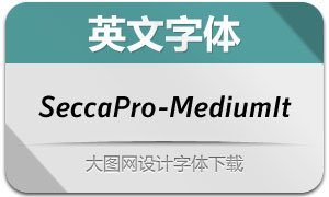 SeccaPro-MediumIt(Ӣ)